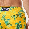Resim Erkek Turtles Madrague Merise Mayo