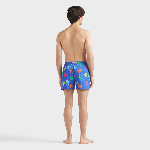 Resim Erkek Tortues Multicolores Moorise Mayo Mavi