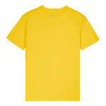 Resim Erkek Titus Tişört Sarı